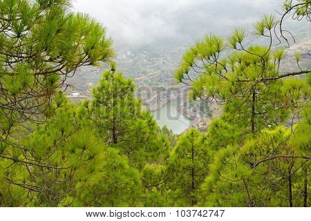 Gran Canaria, Nature Park Tamadaba