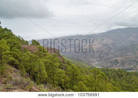 Gran Canaria, Nature Park Tamadaba