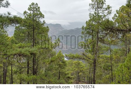 Gran Canaria, View From Tamadaba Nature Park