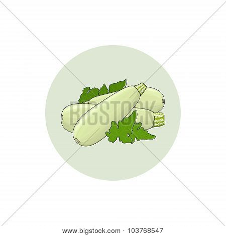Icon Zucchini Courgette Vegetable