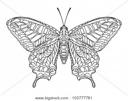 Zentangle stylized butterfly.