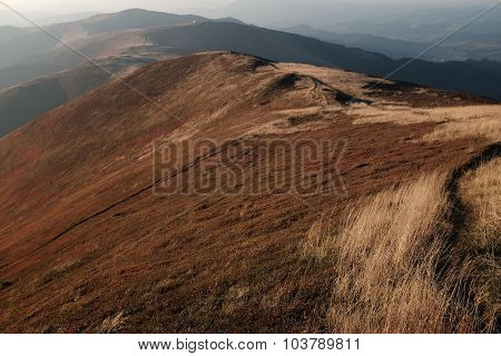 Autumn In Carpathian Mountains