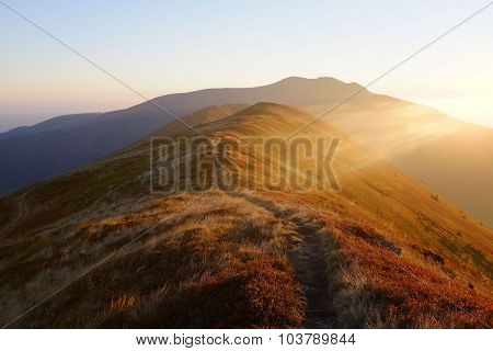 Autumn Evening In Carpathian Mountains