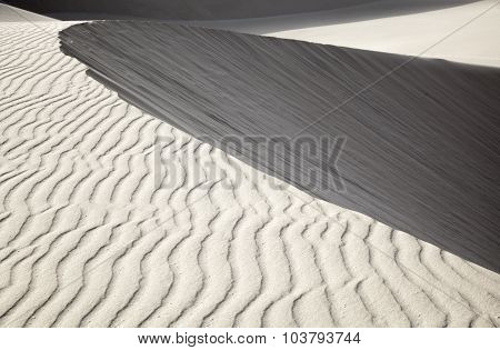 Sand Texture