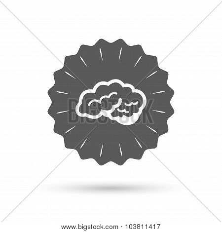 Brain sign icon. Intelligent smart mind.