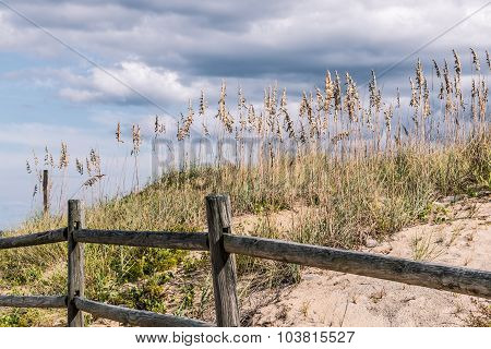 Wooden Fence with Beach Grass and Dunes at Sandbridge