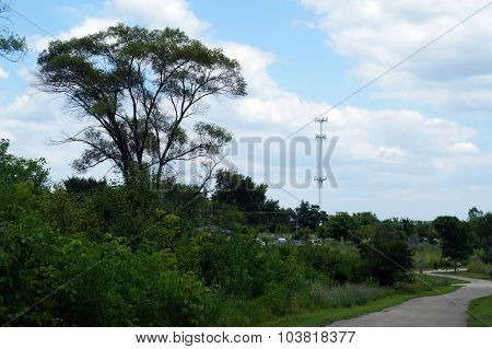 Lake Renwick Preserve