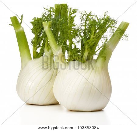 Fresh fennel bulb isolated on white background close up