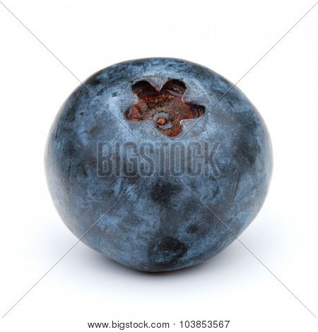 blueberry or bilberry or blackberry or blue whortleberry or huckleberry isolated on white background cutout