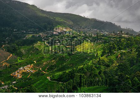 Valley with tea plantations in the highland area. The town of Haputale, Sri Lanka
