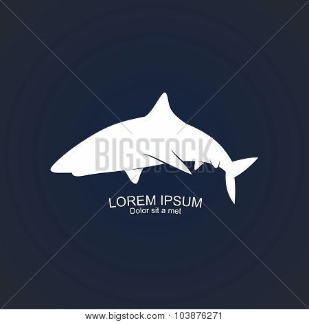 Shark on a blue background. Vector Illustration.