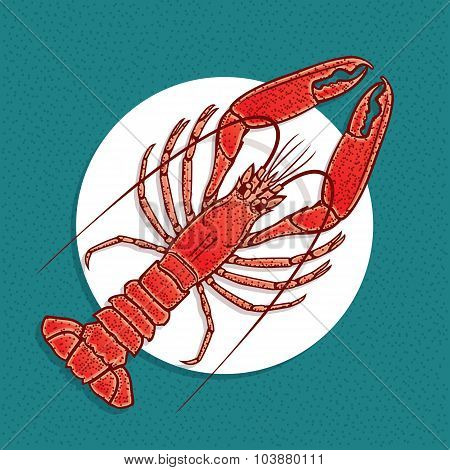 Lobster or crayfish vector illustration in vintage style.