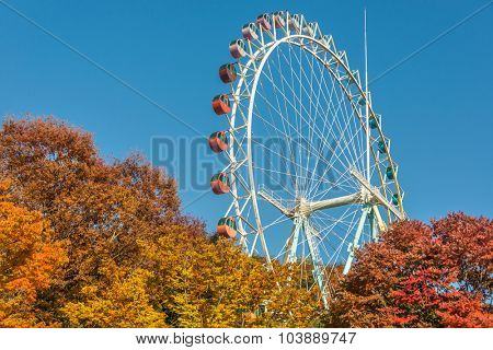 Brightly colored Ferris wheel against the blue sky and fall trees
