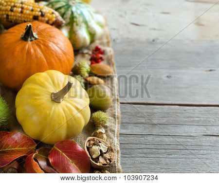 Autumn Background With Pumpkins