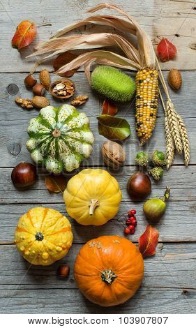 Autumn Background With Pumpkins
