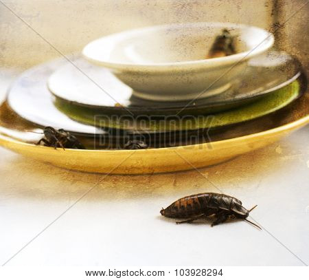 dirty kitchen pile of filthy dishes infested with roaches