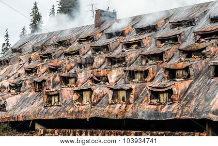 Burnt Building