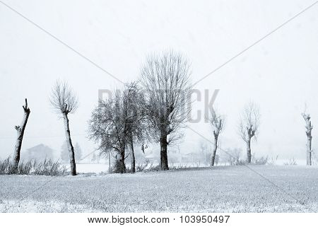 Snowy Countryside