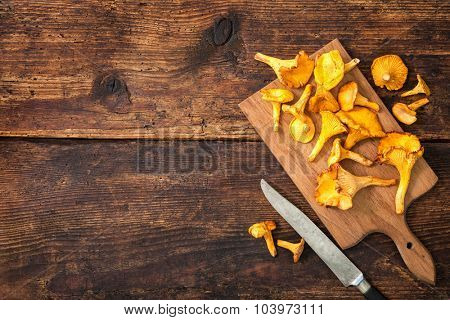 Cantharellus cibarius, chanterelle mushrooms on a cutting board with knife on a rustic background. Lots of copy space
