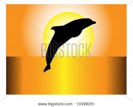 Delfin ved solnedgang