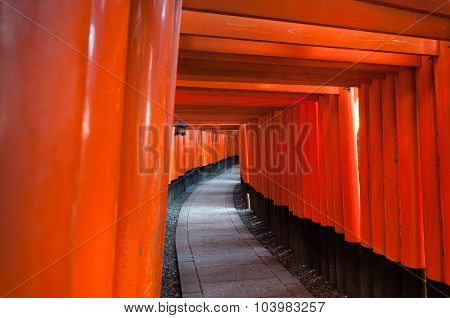Tori Gate At Fushimi Inari Shrine In Kyoto, Japan