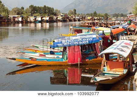 Shikara Boats On Dal Lake With Houseboats In Srinagar