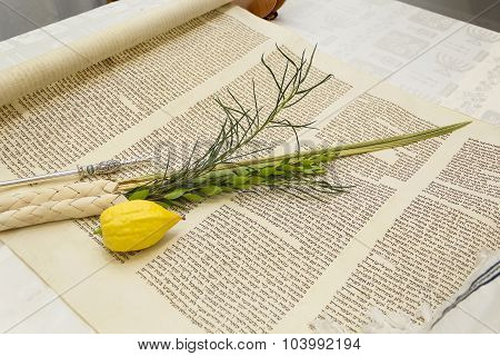 Lulav