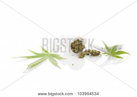 Medical Marijuana