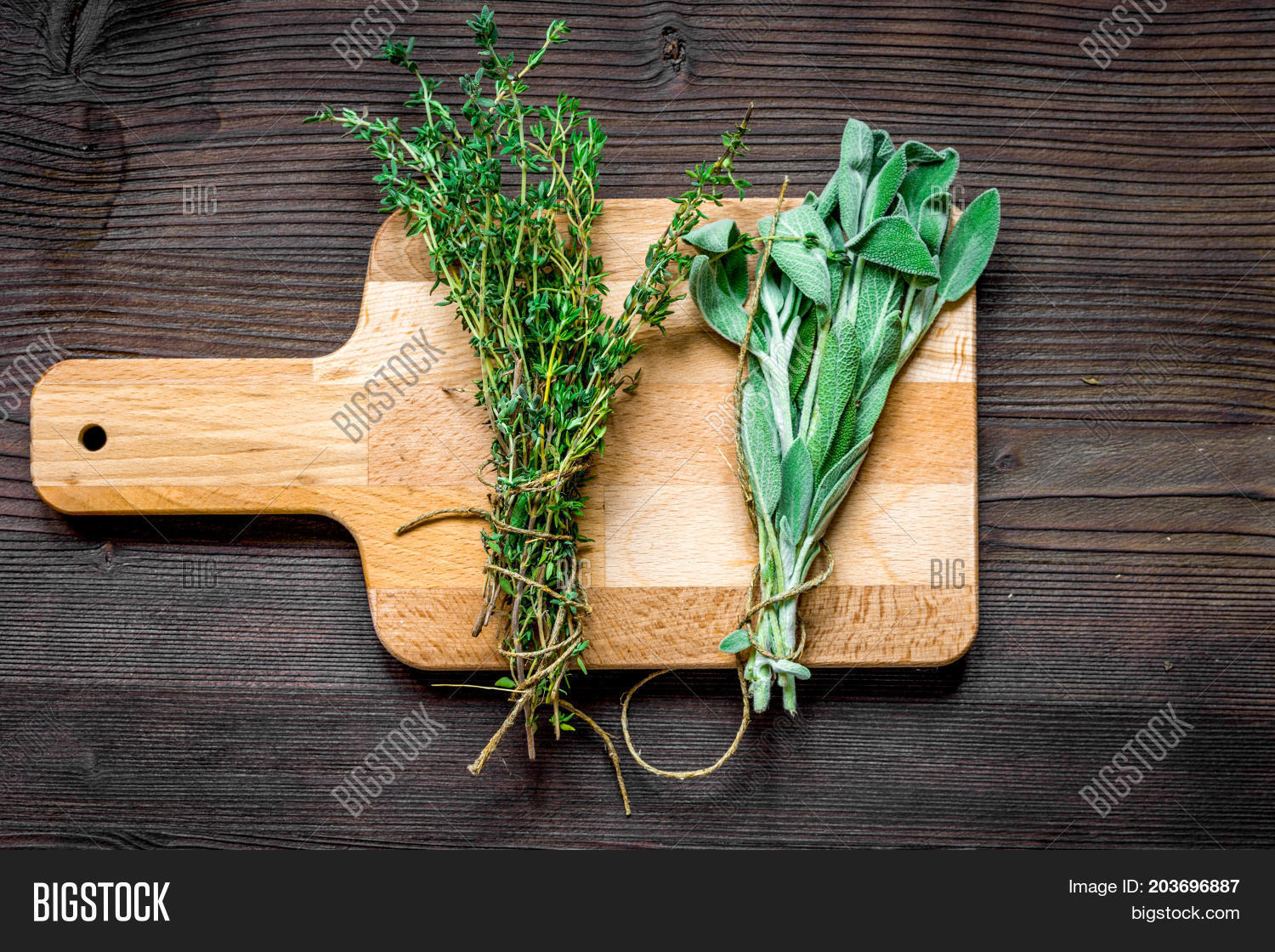 Bundle Sage Thyme On Image & Photo (Free Trial) Bigstock