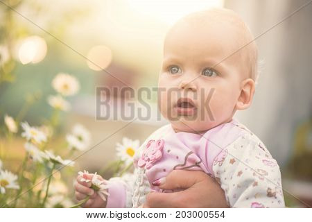 small baby girl holding a daisy in her hand on summer day
