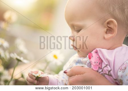 small baby girl holding a daisy in her hand on summer day