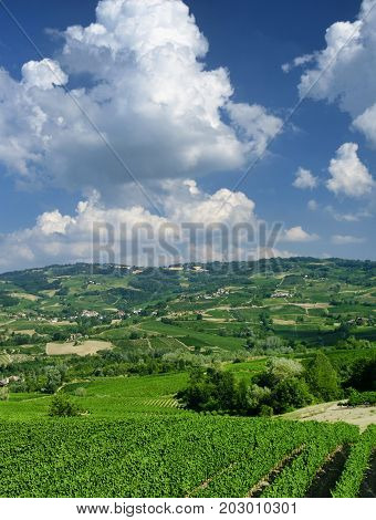 Rural landscape at summertime along the road from Santa Maria della Versa to Carmine (Pavia Lombardy)