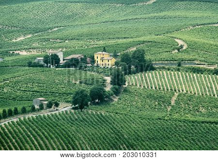Rural landscape at summertime along the road from Vicobarone (Piacenza Emilia Romagna Italy) to Santa Maria della Versa (Pavia Lombardy) in the Tidone valley. Vineyards.