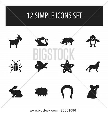 Set Of 12 Editable Zoology Icons. Includes Symbols Such As Wolf, Turbot, Rhino And More
