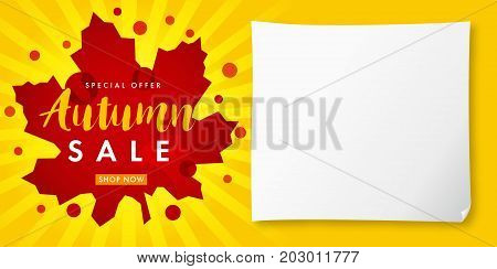 Autumn sale red maple leaf and paper banner. Fall sale template with lettering Special Offer, Autumn sale, shop now on red maple leaf and yellow radial stripes vector card
