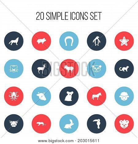 Set Of 20 Editable Zoo Icons. Includes Symbols Such As Diver, Tentacle, Australian Bear And More
