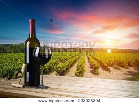 Red wine with barrel on vineyard in green Tuscany, Italy.