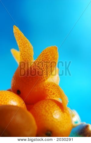 Citrusové