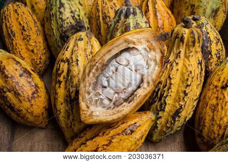 Cacao Fruit, Raw Cacao Beans, Cocoa Pod On Wooden Background