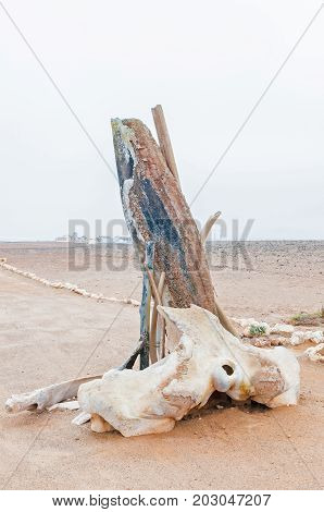Parts of a whale skeleton at Cape Cross on the Skeleton Coast of Namibia