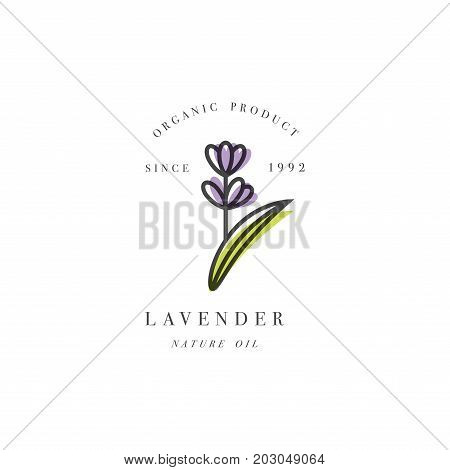 Vector set of packaging design template and emblem - beauty and cosmetic oil - lavender. Logo in trendy linear style