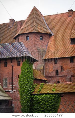 Summer day. Poland the town of Malbrock a Teutonic castle of red brick built from 1309 to 1456. Vertical shot