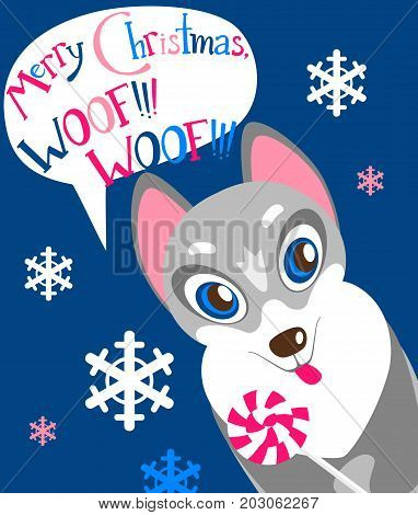 Christas vector flat card with the cute puppy. New year holiday atmosphere, winter symbol. Dog Husky with the lollipop, felicitation in the bubble