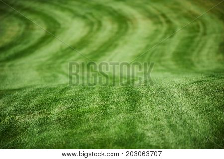 Aerial view of a green golf course