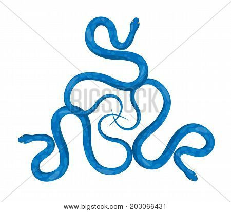 Set of three blue snakes in cartoon style. Ophidian with spots and yellow eyes isolated on white. Vector illustration of creepy wildlife. Icon graphic concept for web banner, mobile, infographics.