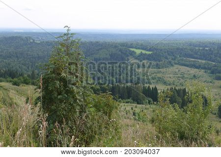 View from the mountain on the woody area in the Urals