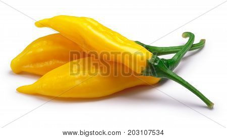 Aji Lemon Drop Peppers, C.baccatum, Paths