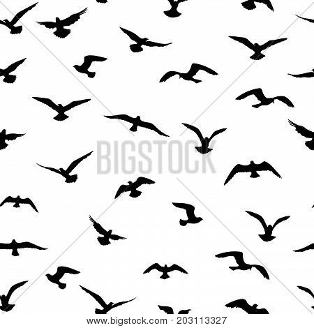 Flying birds seamless pattern. Freedom sign background. Animal wildlife