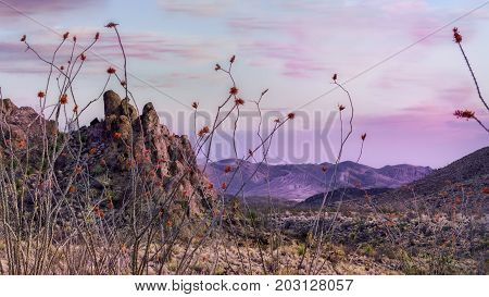 Dramatic sunset just outside of Terlingua, TX