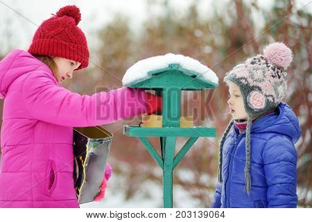 Two Adorable Sisters Feeding Birds On Chilly Winter Day In City Park. Children Helping Birds At Wint